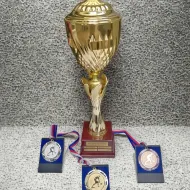 Mistrovské soutěže